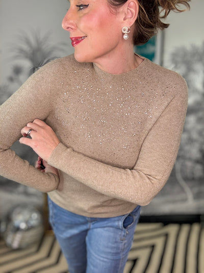 Zofia Sparkle Merino Wool High Neck Jumper